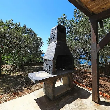 House Dolphin *