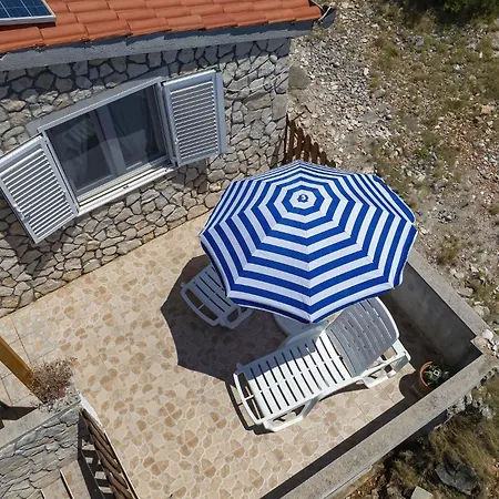 House Dolphin Nyaraló